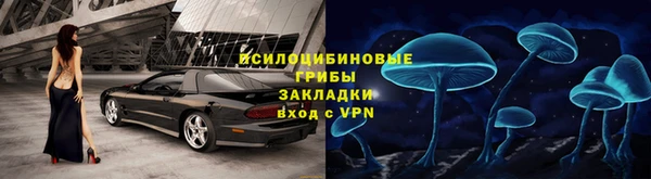 соль ск Фёдоровский