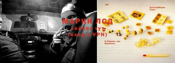 прущие грибы Киреевск