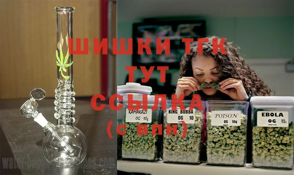 шишки Кинешма